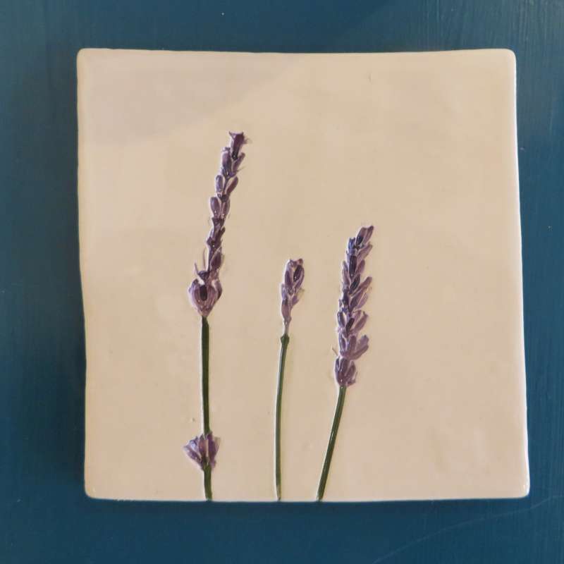 Lavender Coaster